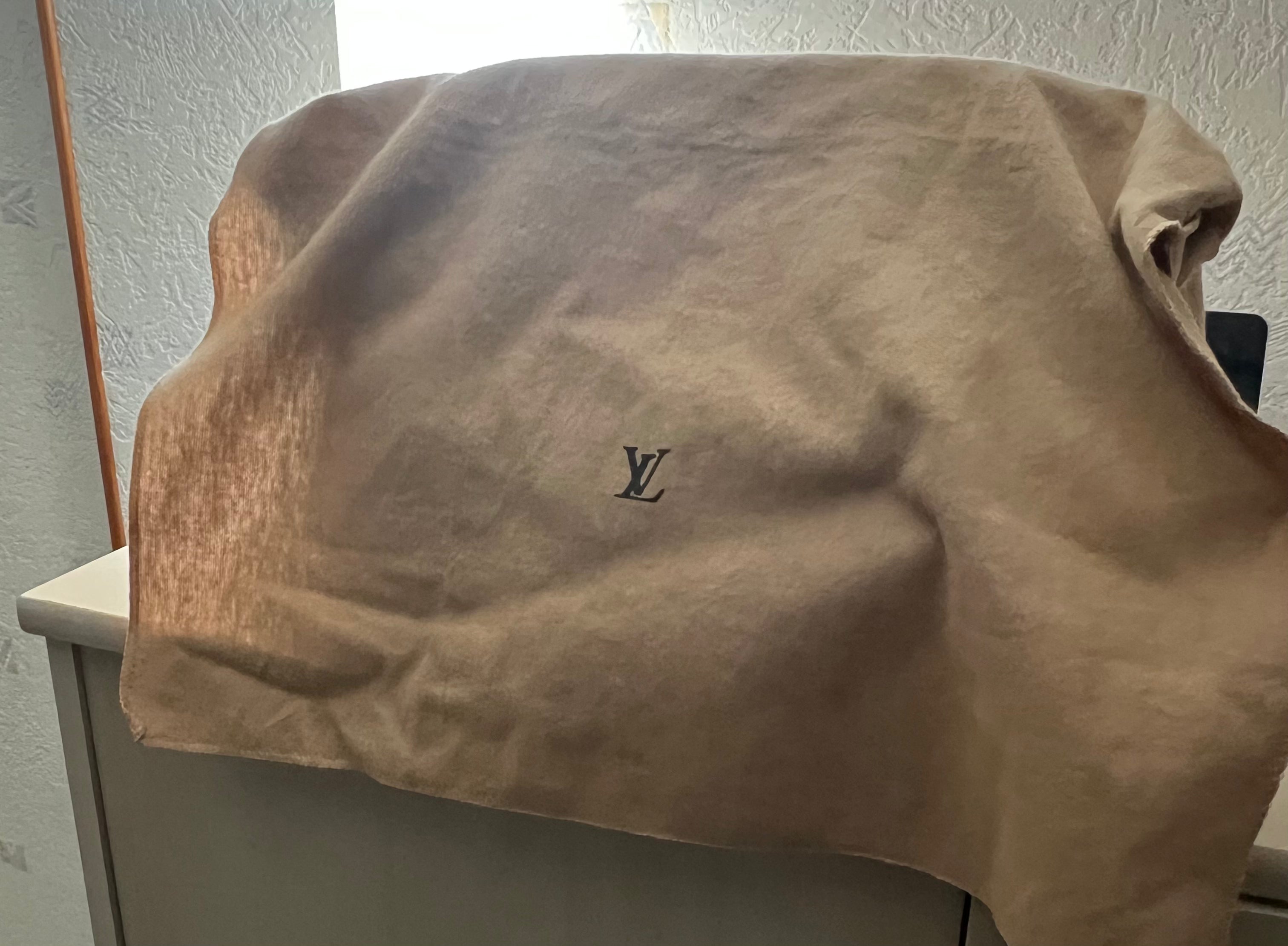 Alma PM Louis Vuitton